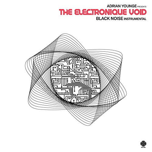 Electronique Void: Black Noise Instrumen