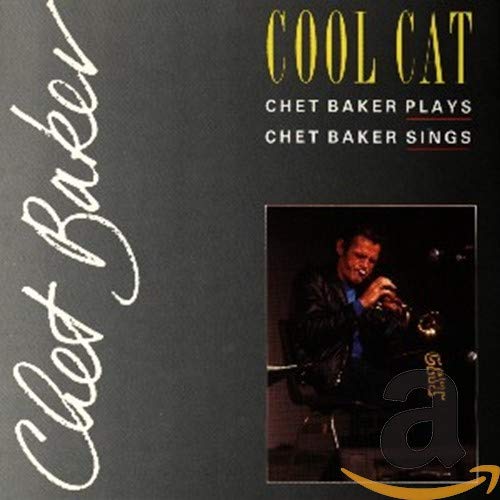 Cool Cat