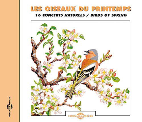 Birds Of Spring