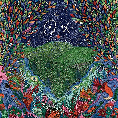 Walk In The Woods
