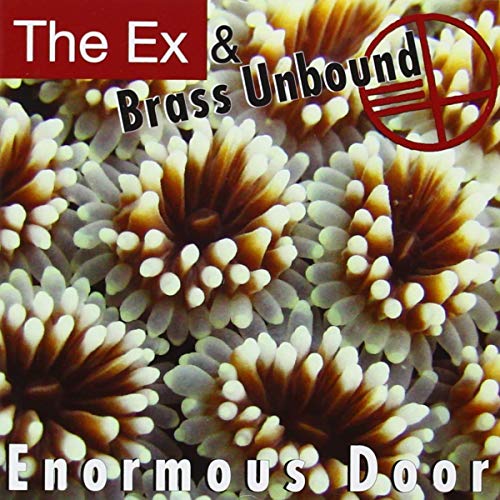 Enormous Door