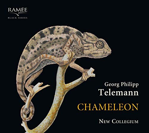 Chamaleon