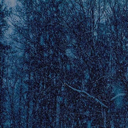 Never Ep (Lp)