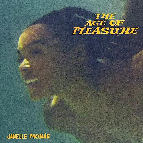 The Age Of Pleasure