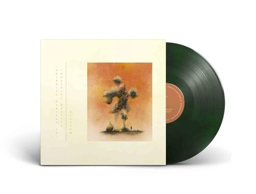 (Whirring Marvels In) Consensus Reality [Vinyl]