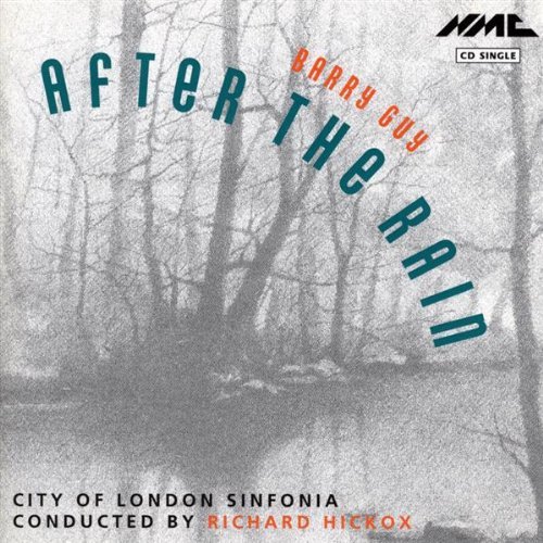 Barry Guy / After The Rain