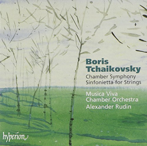 Chamber Symphony Sinfonietta For Strings