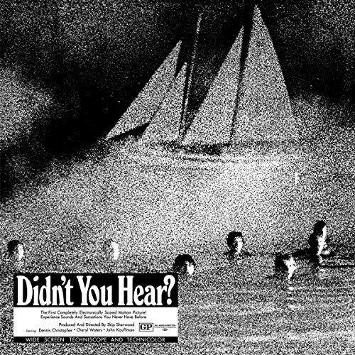 Didn T You Hear? (Vinyl Silver)