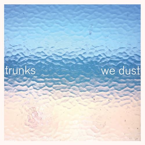 We Dust (Vinyl)
