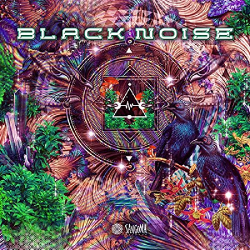 Black Noise