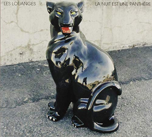 La Nuit Est Une Panthere