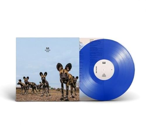 Fever - Clear Blue Vinyl