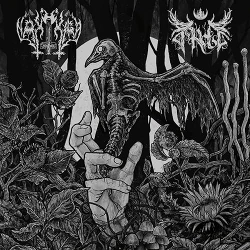 Nakkiga/Arde