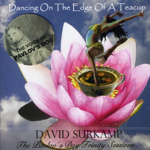 Dancing On The Edge Of A Teacup