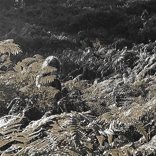 Prisoners Of Love And Hate [Vinyl]