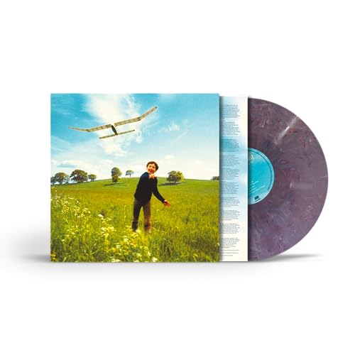 Who We Used To Be (Vinile Riciclato)