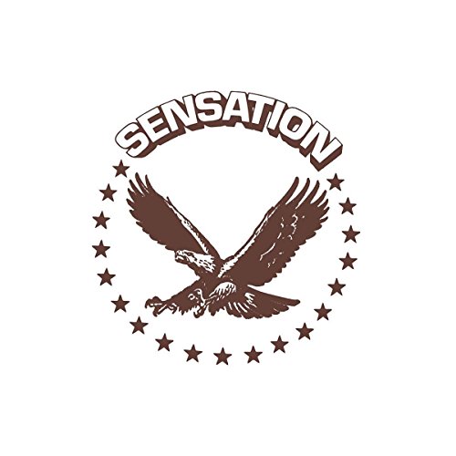 Sensation (2 Lp)