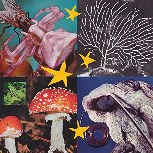 Various Artists-All Things Considered Vo