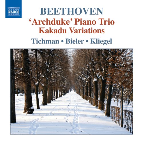 Trii Per Archi E Pianoforte, Vol.5
