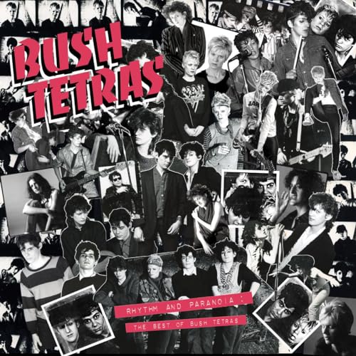 Rhythm And Paranoia The Best Of Bush Tetras