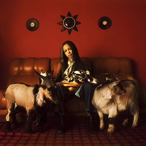 Tsha-Capricorn Sun Dlp Coloured
