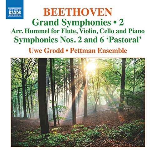 Grand Symphonies Vol.2
