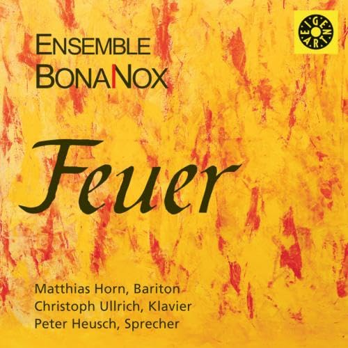 Ensemble Bona Nox - Feuer