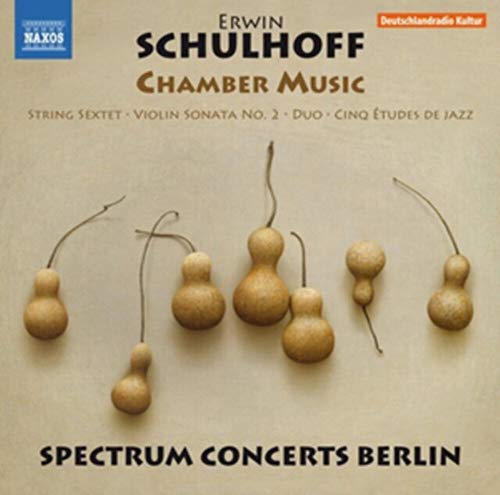 Sestetto Per Archi Op.45, Sonata Per Vio