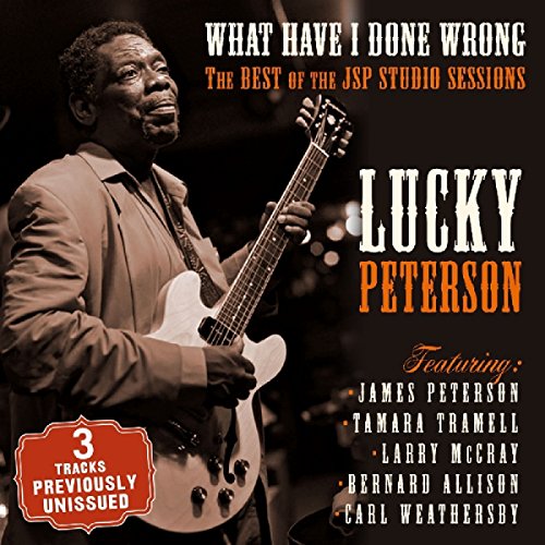What Have I Done Wrong: Best Of The Jsp Sessions
