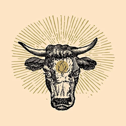 Torozebu
