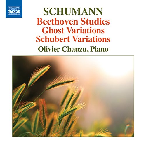 Beethoven-Etüden Anh.F25, Geistervariati