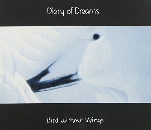 Bird Without Wings