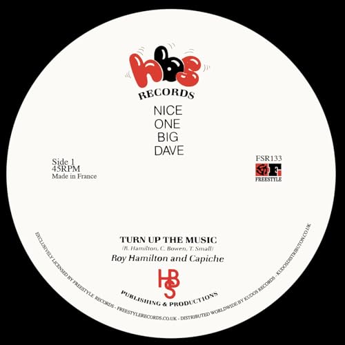Roy Hamilton & Capiche-Turn Up The Music
