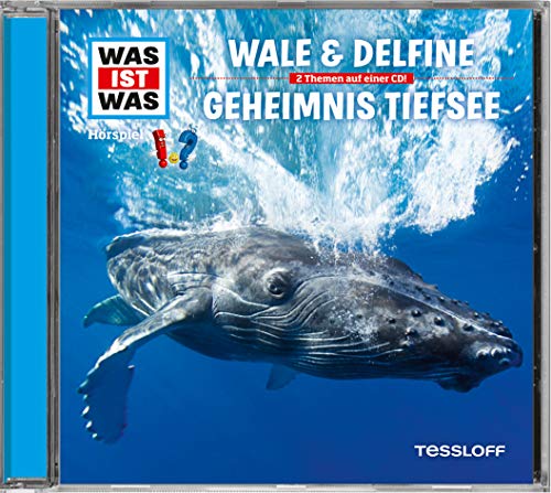 Was Ist Was Folge 13