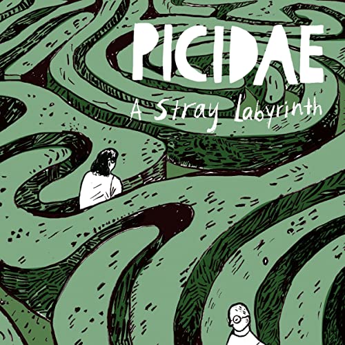 A Stray Labyrinth