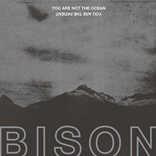 You Are Not The Ocean You'Re The Patient