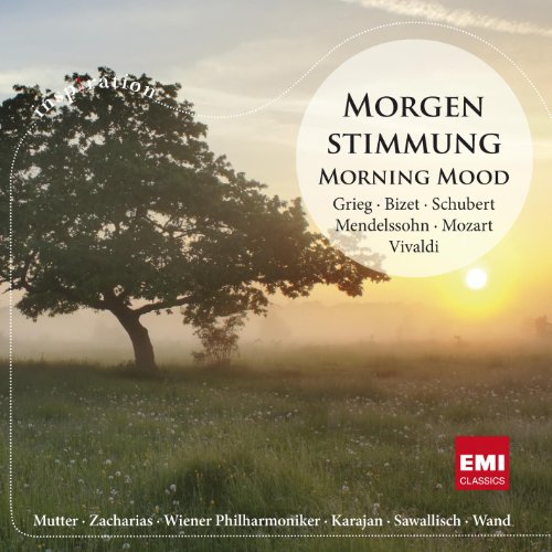 Norning Mood