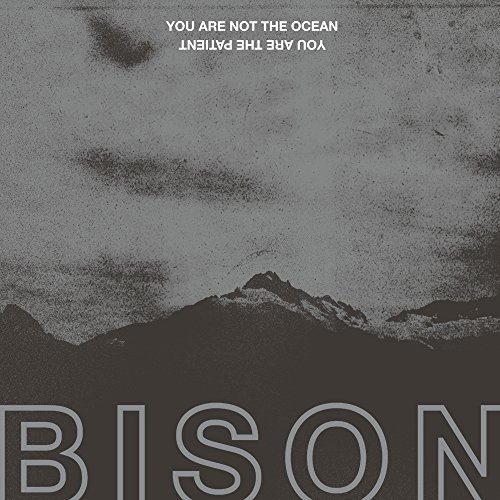 You Are Not The Ocean You'Re The Patient