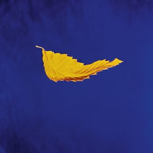 True Faith (Vinile Edizione Limitata)