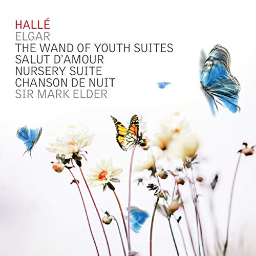Wand Of Youth Suites