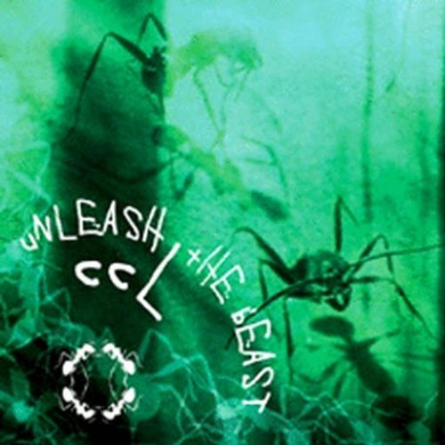 Unleash The Beast