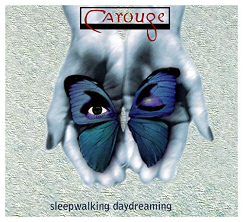 Sleepwalking, Daydreaming