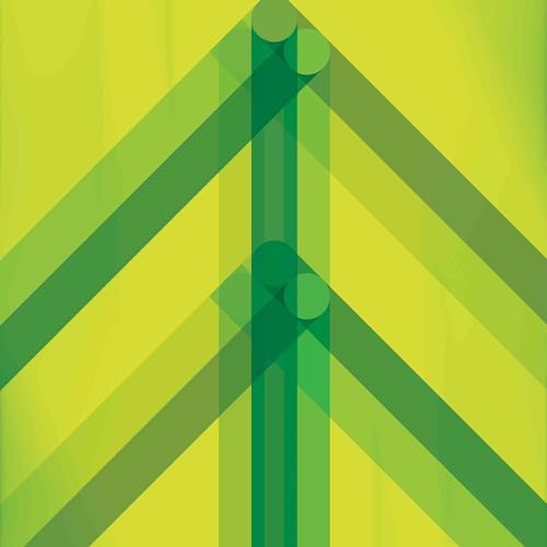 Every Direction Is North (Green Glass Vinyl)