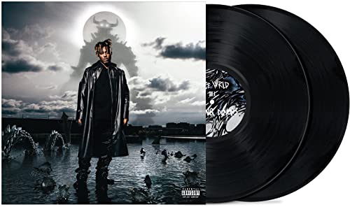 Fighting Demons (Lp)
