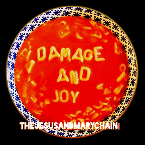 Damage And Joy