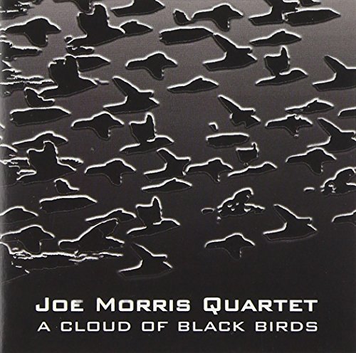 A Cloud Of Black Birds