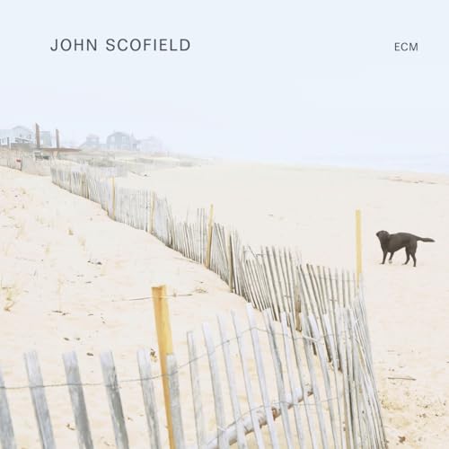 John Scofield - Solo
