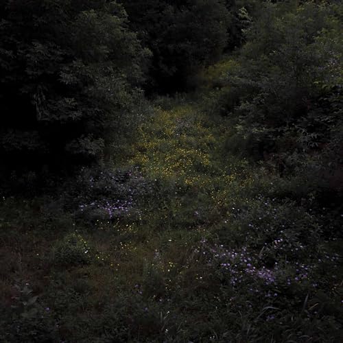 Higher Lonely Power (Cloudy Black Vinyl)