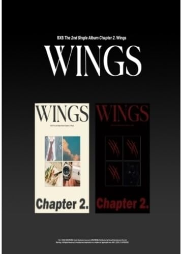 Chapter 2. Wings