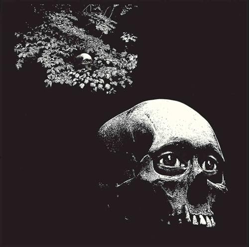 A Foul Form [Vinyl]